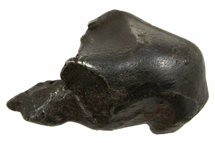 Fusion Crusted Sikhote-Alin Iron Meteorite ( g) - Russia #334617